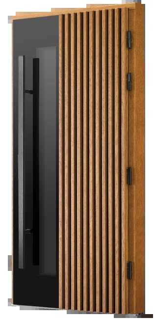 Drzwi zewnętrzne drewniane Doorsy model RAPTOR 01 z kolekcji Nowoczesne